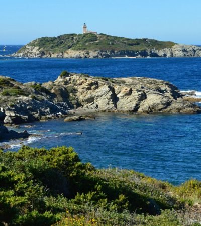 pexels-slimmars-13-197677686-13180093